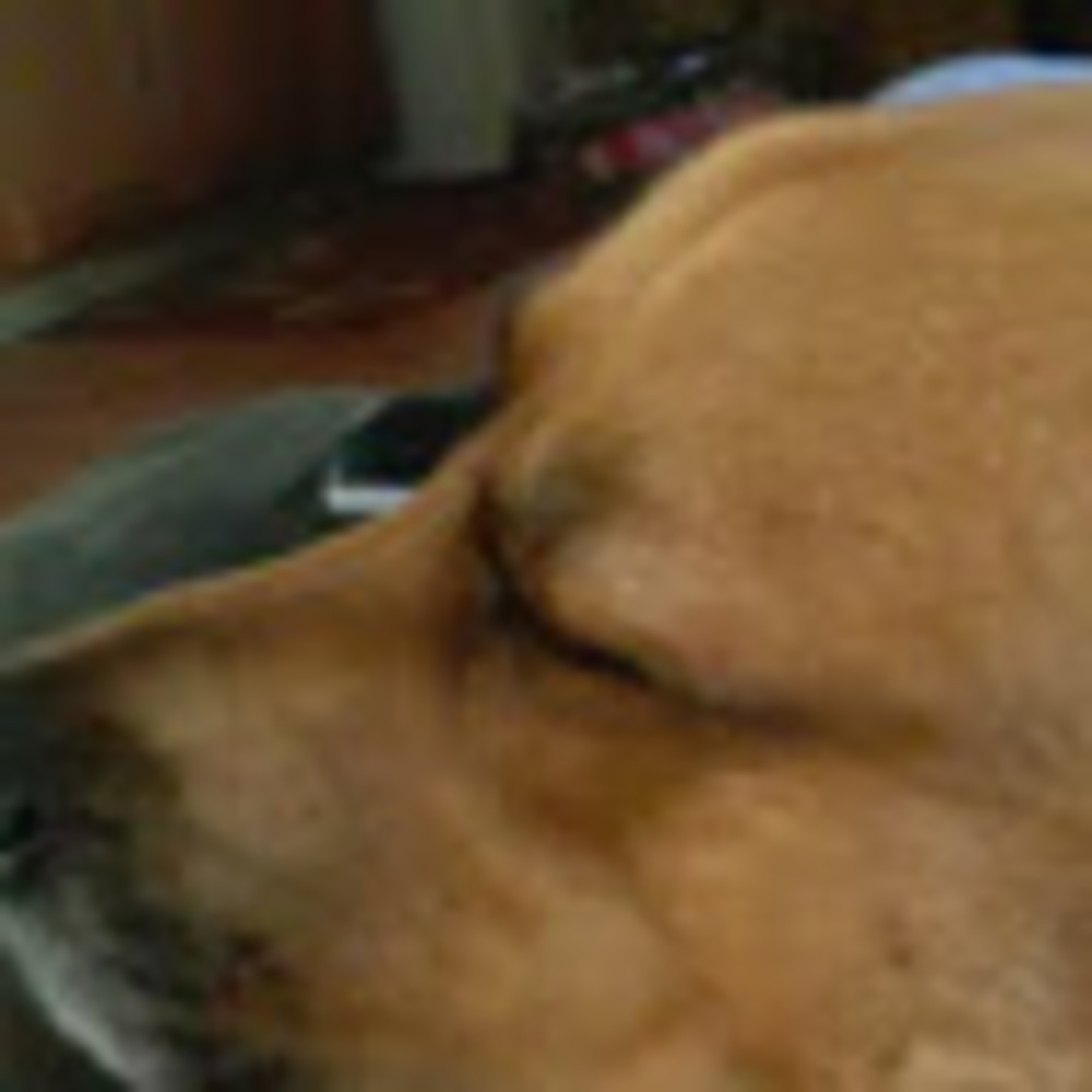 Meet your Posher, Nick